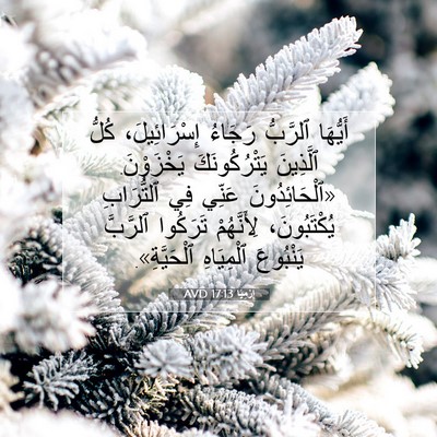 Picture 07 - إِرْمِيَا 17:13 AVD - أَيُّهَا ٱلرَّبُّ رَجَاءُ - Bible Verse Picture