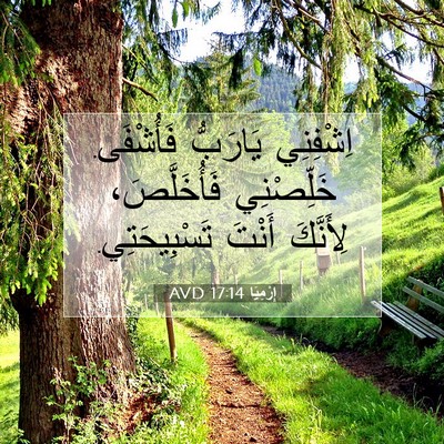 Picture 07 - إِرْمِيَا 17:14 AVD - اِشْفِنِي يَارَبُّ - Bible Verse Picture