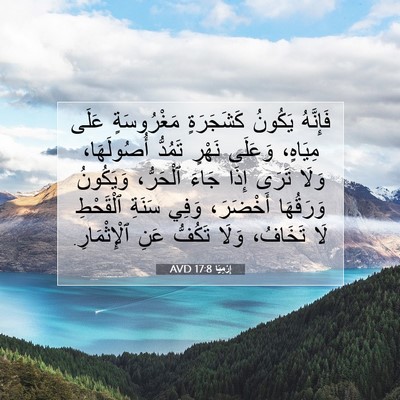 Picture 07 - إِرْمِيَا 17:8 AVD - فَإِنَّهُ يَكُونُ - Bible Verse Picture