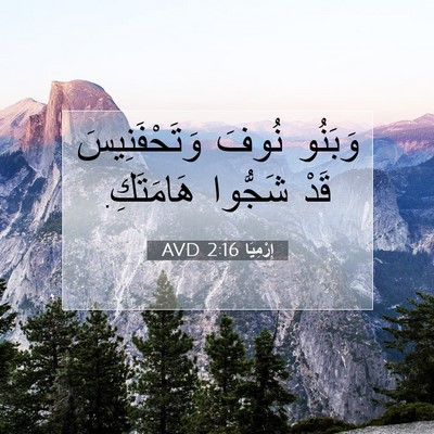 Picture 07 - إِرْمِيَا 2:16 AVD - وَبَنُو نُوفَ - Bible Verse Picture