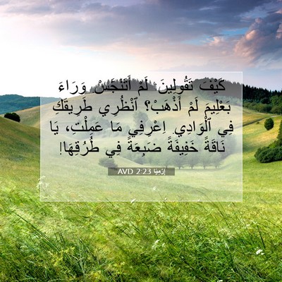 Picture 07 - إِرْمِيَا 2:23 AVD - كَيْفَ تَقُولِينَ: لَمْ - Bible Verse Picture