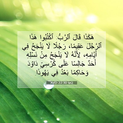 Picture 07 - إِرْمِيَا 22:30 AVD - هَكَذَا قَالَ ٱلرَّبُّ: - Bible Verse Picture