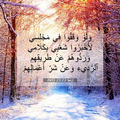 Picture 07 - إِرْمِيَا 23:22 AVD - وَلَوْ وَقَفُوا فِي - Bible Verse Picture