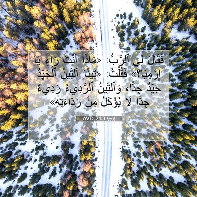 Picture 07 - إِرْمِيَا 24:3 AVD - فَقَالَ لِي ٱلرَّبُّ: - Bible Verse Picture
