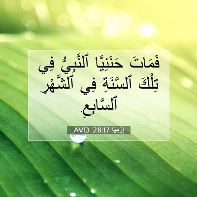 Picture 07 - إِرْمِيَا 28:17 AVD - فَمَاتَ حَنَنِيَّا - Bible Verse Picture