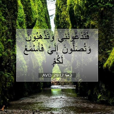 Picture 07 - إِرْمِيَا 29:12 AVD - فَتَدْعُونَنِي - Bible Verse Picture