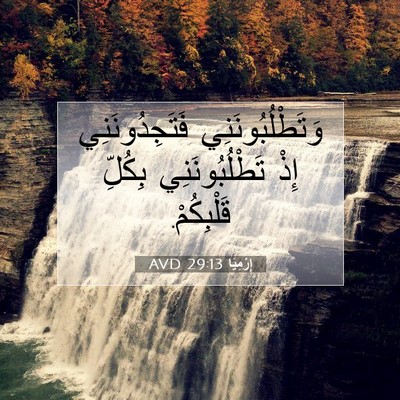 Picture 07 - إِرْمِيَا 29:13 AVD - وَتَطْلُبُونَنِي - Bible Verse Picture