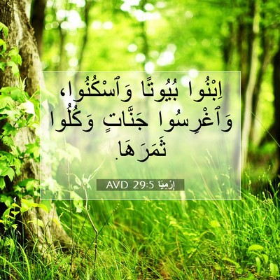 Picture 07 - إِرْمِيَا 29:5 AVD - اِبْنُوا بُيُوتًا - Bible Verse Picture