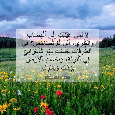 Picture 07 - إِرْمِيَا 3:2 AVD - اِرْفَعِي عَيْنَيْكِ - Bible Verse Picture