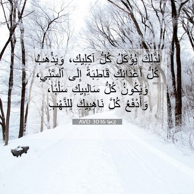 Picture 07 - إِرْمِيَا 30:16 AVD - لِذَلِكَ يُؤْكَلُ كُلُّ - Bible Verse Picture