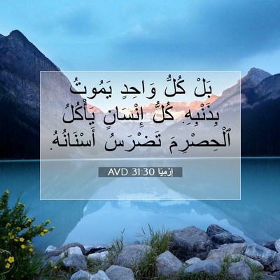 Picture 07 - إِرْمِيَا 31:30 AVD - بَلْ كُلُّ وَاحِدٍ يَمُوتُ - Bible Verse Picture