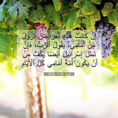 Picture 07 - إِرْمِيَا 31:36 AVD - إِنْ كَانَتْ هَذِهِ - Bible Verse Picture