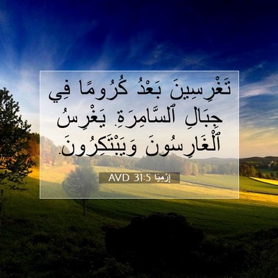 Picture 07 - إِرْمِيَا 31:5 AVD - تَغْرِسِينَ بَعْدُ - Bible Verse Picture