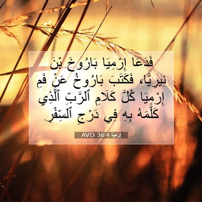 Picture 07 - إِرْمِيَا 36:4 AVD - فَدَعَا إِرْمِيَا - Bible Verse Picture