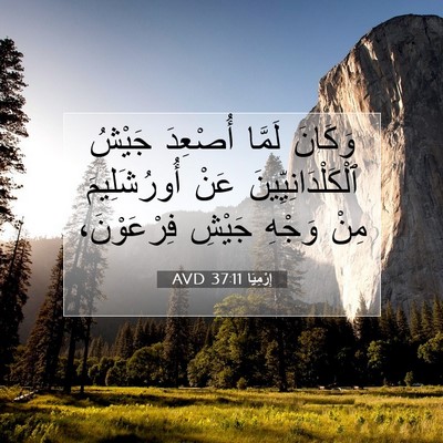 Picture 07 - إِرْمِيَا 37:11 AVD - وَكَانَ لَمَّا أُصْعِدَ - Bible Verse Picture