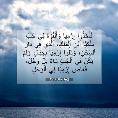 Picture 07 - إِرْمِيَا 38:6 AVD - فَأَخَذُوا إِرْمِيَا - Bible Verse Picture