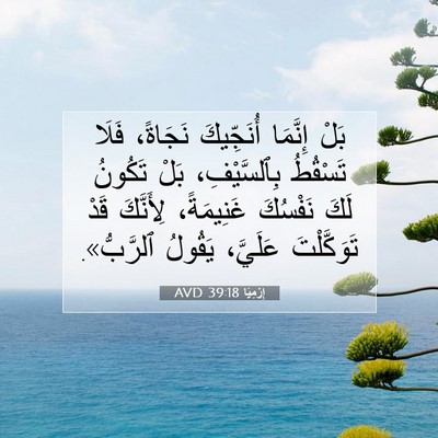 Picture 07 - إِرْمِيَا 39:18 AVD - بَلْ إِنَّمَا أُنَجِّيكَ - Bible Verse Picture