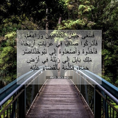 Picture 07 - إِرْمِيَا 39:5 AVD - فَسَعَى جَيْشُ - Bible Verse Picture