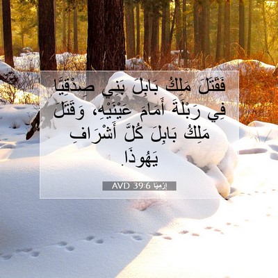 Picture 07 - إِرْمِيَا 39:6 AVD - فَقَتَلَ مَلِكُ بَابِلَ - Bible Verse Picture