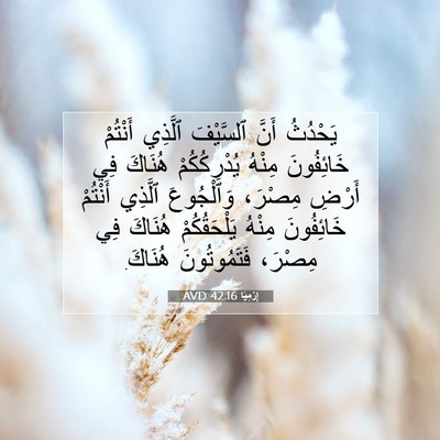 Picture 07 - إِرْمِيَا 42:16 AVD - يَحْدُثُ أَنَّ ٱلسَّيْفَ - Bible Verse Picture