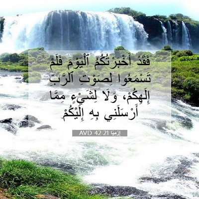 Picture 07 - إِرْمِيَا 42:21 AVD - فَقَدْ أَخْبَرْتُكُمُ - Bible Verse Picture