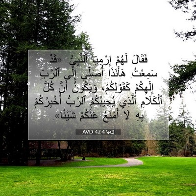 Picture 07 - إِرْمِيَا 42:4 AVD - فَقَالَ لَهُمْ إِرْمِيَا - Bible Verse Picture