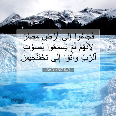 Picture 07 - إِرْمِيَا 43:7 AVD - فَجَاءُوا إِلَى أَرْضِ - Bible Verse Picture