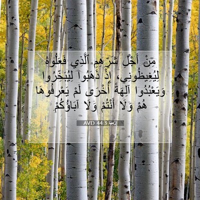 Picture 07 - إِرْمِيَا 44:3 AVD - مِنْ أَجْلِ شَرِّهِمِ - Bible Verse Picture