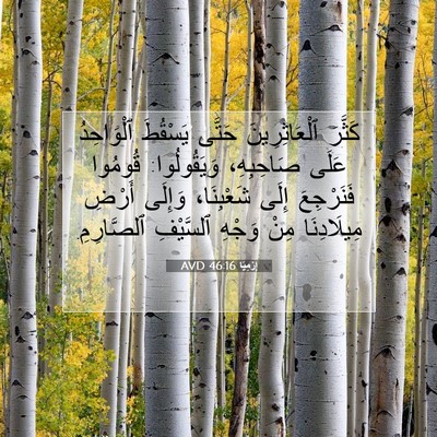 Picture 07 - إِرْمِيَا 46:16 AVD - كَثَّرَ ٱلْعَاثِرِينَ - Bible Verse Picture