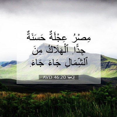 Picture 07 - إِرْمِيَا 46:20 AVD - مِصْرُ عِجْلَةٌ حَسَنَةٌ - Bible Verse Picture