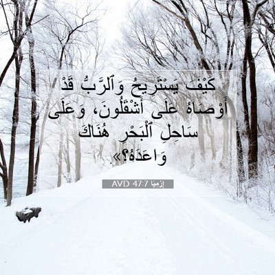 Picture 07 - إِرْمِيَا 47:7 AVD - كَيْفَ يَسْتَرِيحُ - Bible Verse Picture