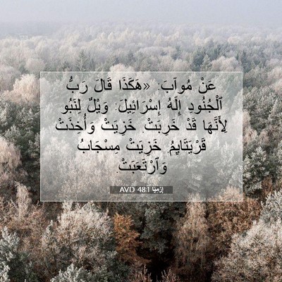 Picture 07 - إِرْمِيَا 48:1 AVD - عَنْ مُوآبَ: «هَكَذَا - Bible Verse Picture