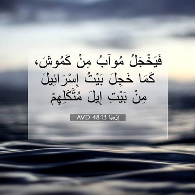 Picture 07 - إِرْمِيَا 48:13 AVD - فَيَخْجَلُ مُوآبُ مِنْ - Bible Verse Picture