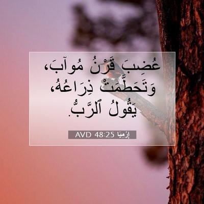 Picture 07 - إِرْمِيَا 48:25 AVD - عُضِبَ قَرْنُ مُوآبَ، - Bible Verse Picture