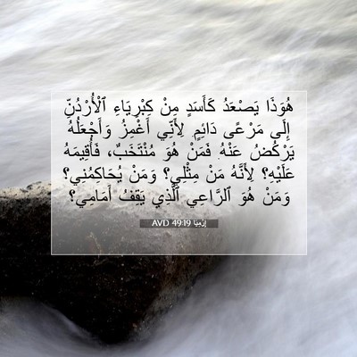 Picture 07 - إِرْمِيَا 49:19 AVD - هُوَذَا يَصْعَدُ كَأَسَدٍ - Bible Verse Picture