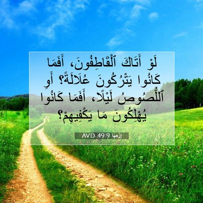 Picture 07 - إِرْمِيَا 49:9 AVD - لَوْ أَتَاكَ - Bible Verse Picture