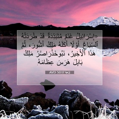 Picture 07 - إِرْمِيَا 50:17 AVD - «إِسْرَائِيلُ غَنَمٌ - Bible Verse Picture