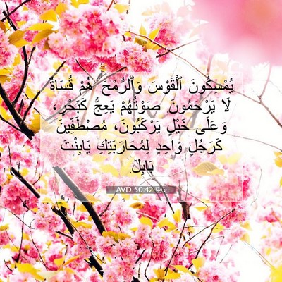 Picture 07 - إِرْمِيَا 50:42 AVD - يُمْسِكُونَ ٱلْقَوْسَ - Bible Verse Picture