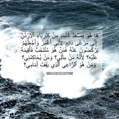 Picture 07 - إِرْمِيَا 50:44 AVD - هَا هُوَ يَصْعَدُ كَأَسَدٍ - Bible Verse Picture