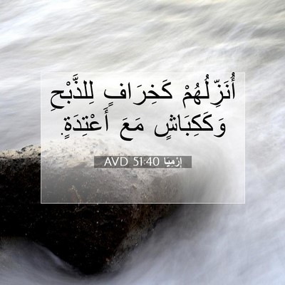 Picture 07 - إِرْمِيَا 51:40 AVD - أُنَزِّلُهُمْ كَخِرَافٍ - Bible Verse Picture