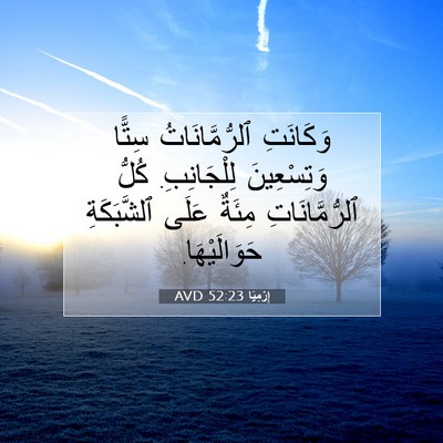 Picture 07 - إِرْمِيَا 52:23 AVD - وَكَانَتِ ٱلرُّمَّانَاتُ - Bible Verse Picture