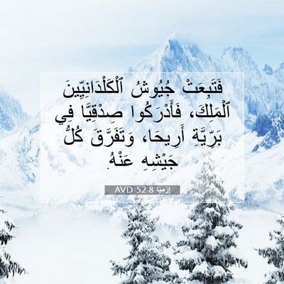 Picture 07 - إِرْمِيَا 52:8 AVD - فَتَبِعَتْ جُيُوشُ - Bible Verse Picture