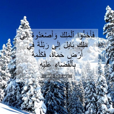Picture 07 - إِرْمِيَا 52:9 AVD - فَأَخَذُوا ٱلْمَلِكَ - Bible Verse Picture