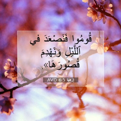 Picture 07 - إِرْمِيَا 6:5 AVD - قُومُوا فَنَصْعَدَ في - Bible Verse Picture