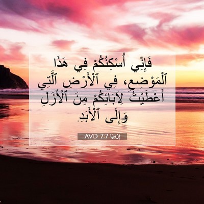 Picture 07 - إِرْمِيَا 7:7 AVD - فَإِنِّي أُسْكِنُكُمْ فِي - Bible Verse Picture