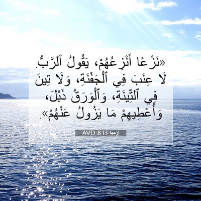 Picture 07 - إِرْمِيَا 8:13 AVD - «نَزْعًا أَنْزِعُهُمْ، - Bible Verse Picture