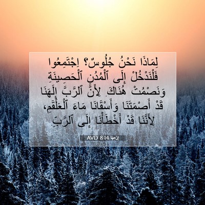 Picture 07 - إِرْمِيَا 8:14 AVD - لِمَاذَا نَحْنُ جُلُوسٌ؟ - Bible Verse Picture
