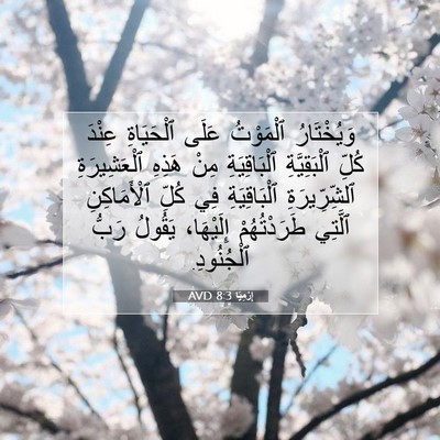 Picture 07 - إِرْمِيَا 8:3 AVD - وَيُخْتَارُ ٱلْمَوْتُ - Bible Verse Picture