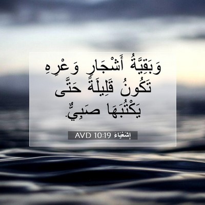 Picture 07 - إِشَعْيَاءَ 10:19 AVD - وَبَقِيَّةُ أَشْجَارِ - Bible Verse Picture