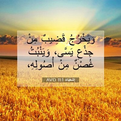 Picture 07 - إِشَعْيَاءَ 11:1 AVD - وَيَخْرُجُ قَضِيبٌ مِنْ - Bible Verse Picture